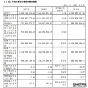 寒武纪2021年净亏损8.25亿元 同比扩大89.86%